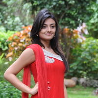 Nikitha Narayan New Pictures | Picture 68873